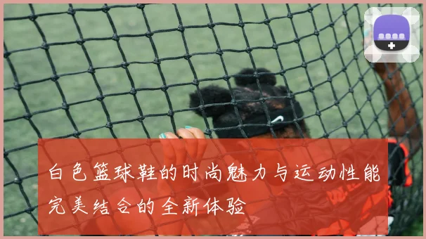 白色篮球鞋的时尚魅力与运动性能完美结合的全新体验