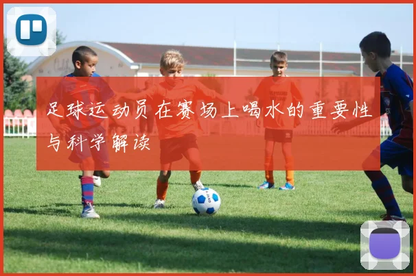 足球运动员在赛场上喝水的重要性与科学解读