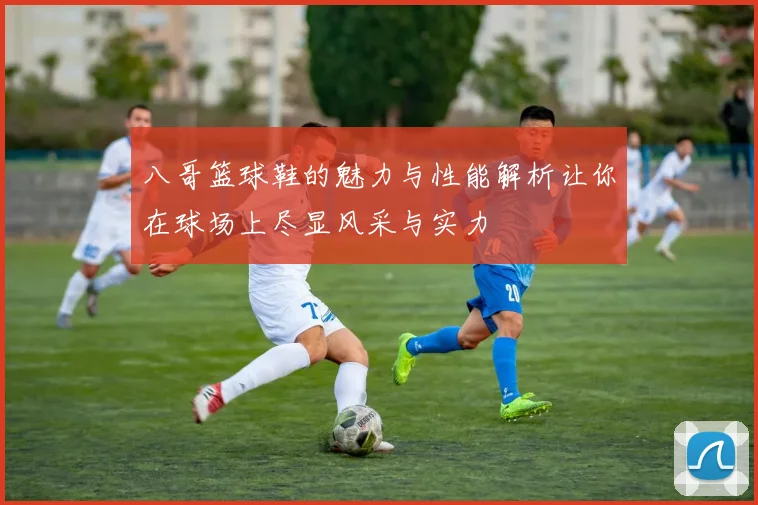 八哥篮球鞋的魅力与性能解析让你在球场上尽显风采与实力