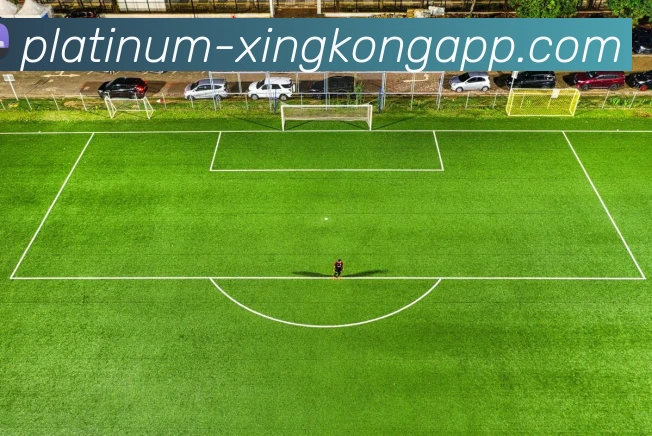 App Interface Preview