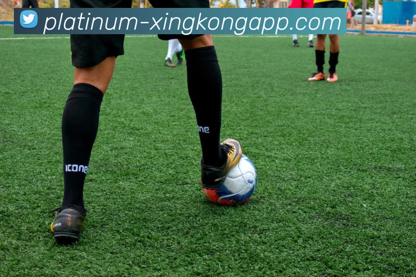 数据防护可视化